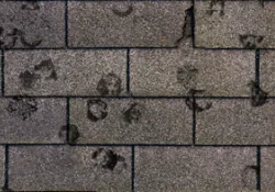 Slide of Invision Roofing