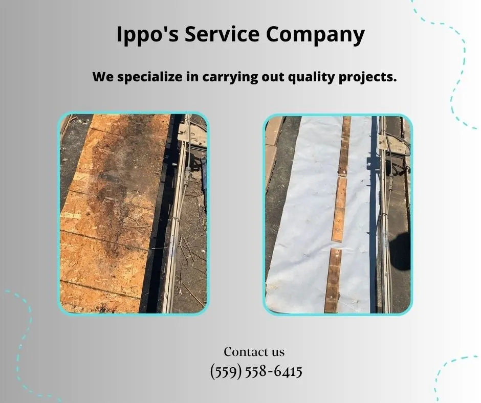 Slide of Ippo's Service Company