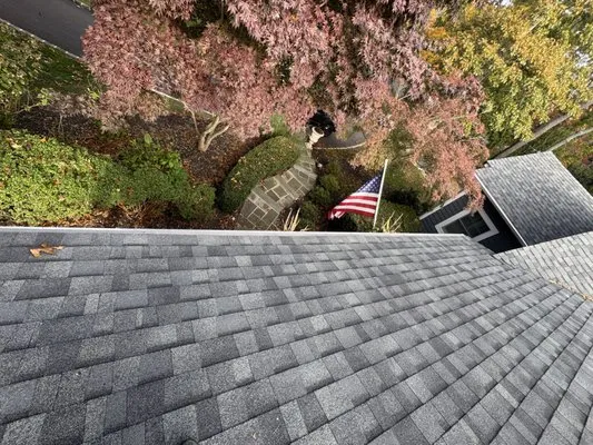 IQ Edge Construction