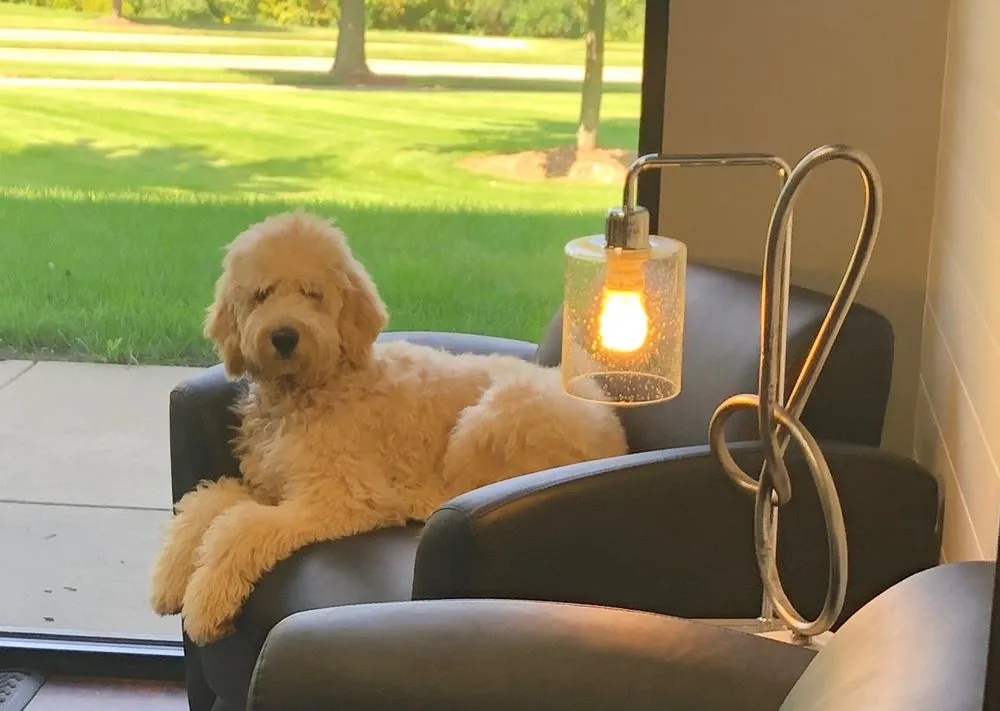 Slide of Irish Roofing and Exteriors