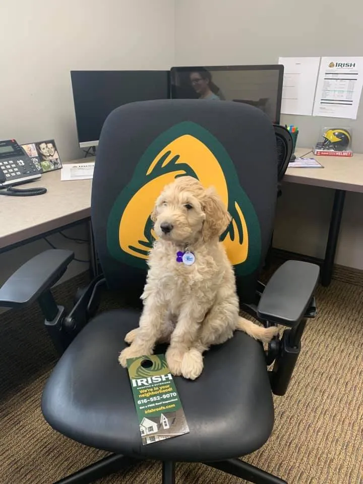 Slide of Irish Roofing and Exteriors