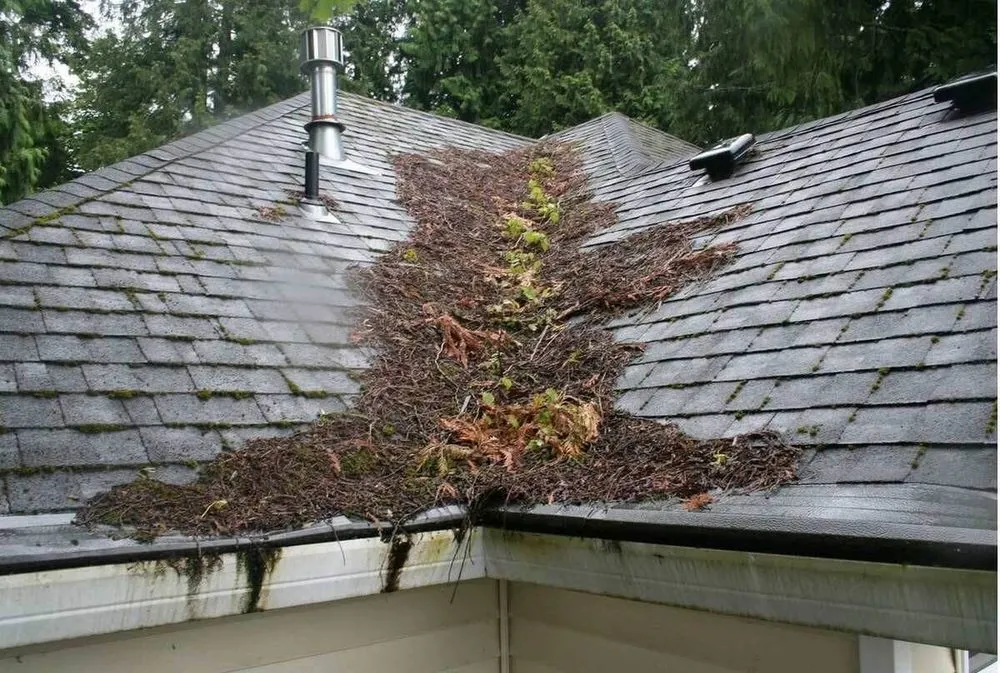 Top-rated roof leak repair for fast service in Tampa Bay, FL by Ironhide Coatings