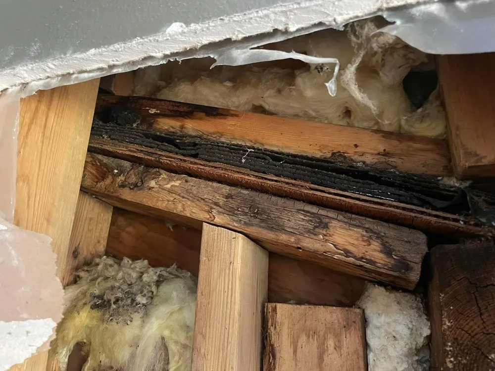 Slide of iRoof Exteriors