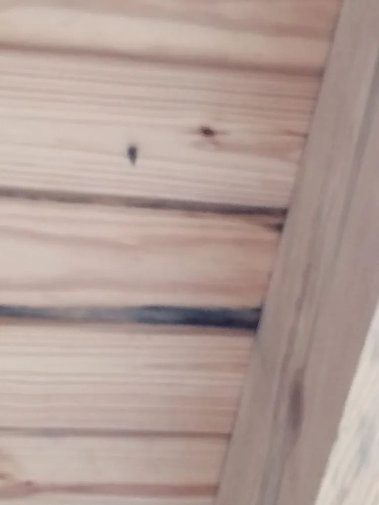 Slide of Isaacs Roofing