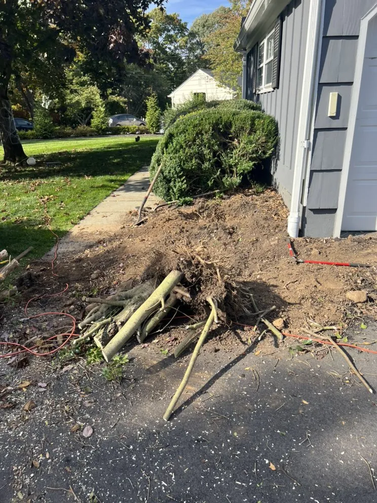 Slide of Isl Lopez Construction and Landscaping