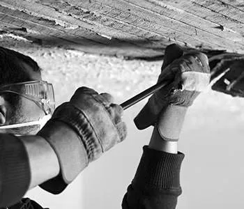 Slide of I.s.l.a.h. Enterprise