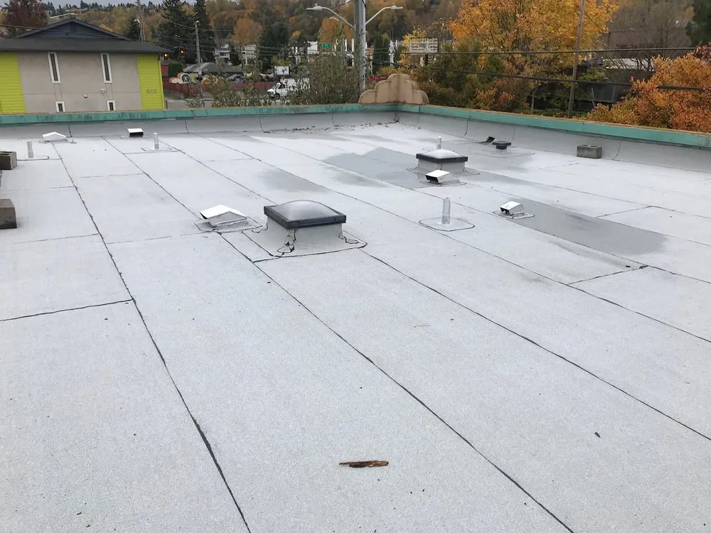 Slide of Island Roofing