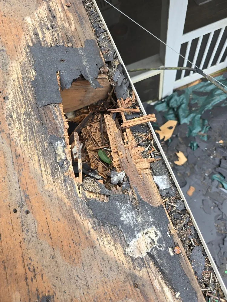 Professional roof inspection after storm damage in Islandton, SC by Islands A Ton Roofing