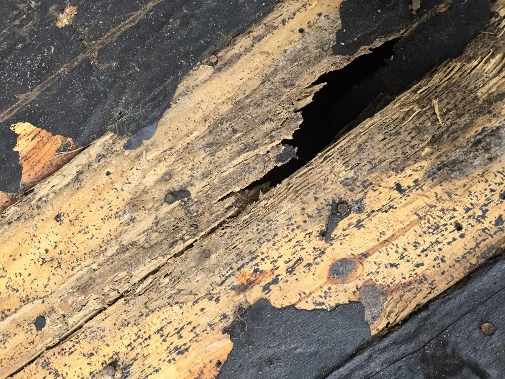Trusted roof inspection same-day service across Islandton, SC - Islands A Ton Roofing