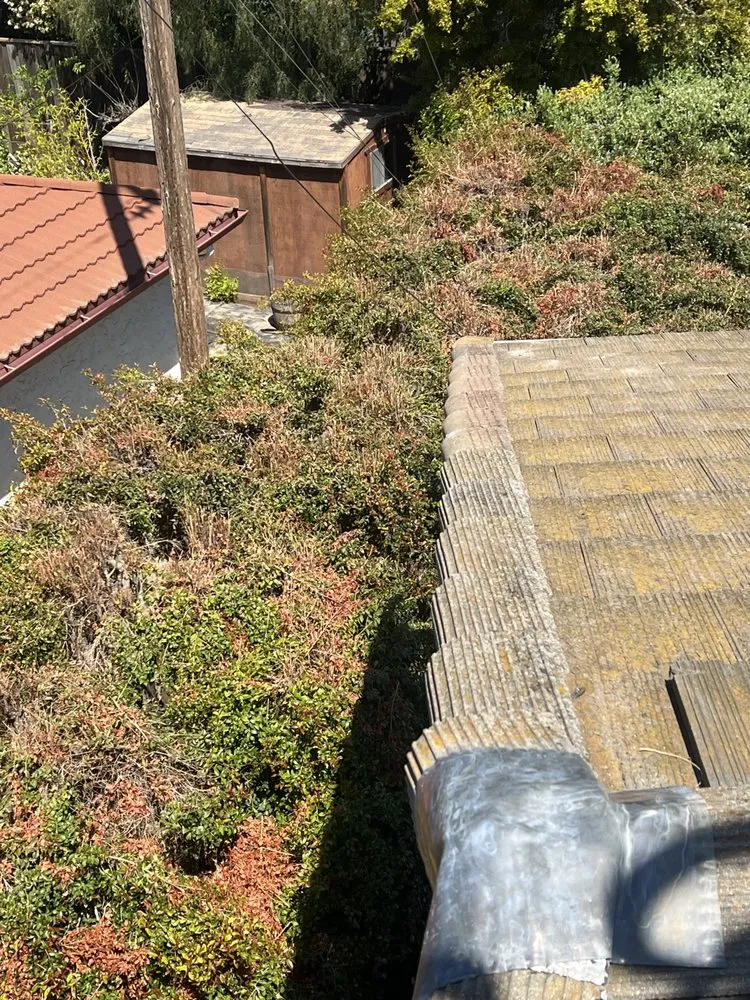 Slide of Israel Professional Roofer