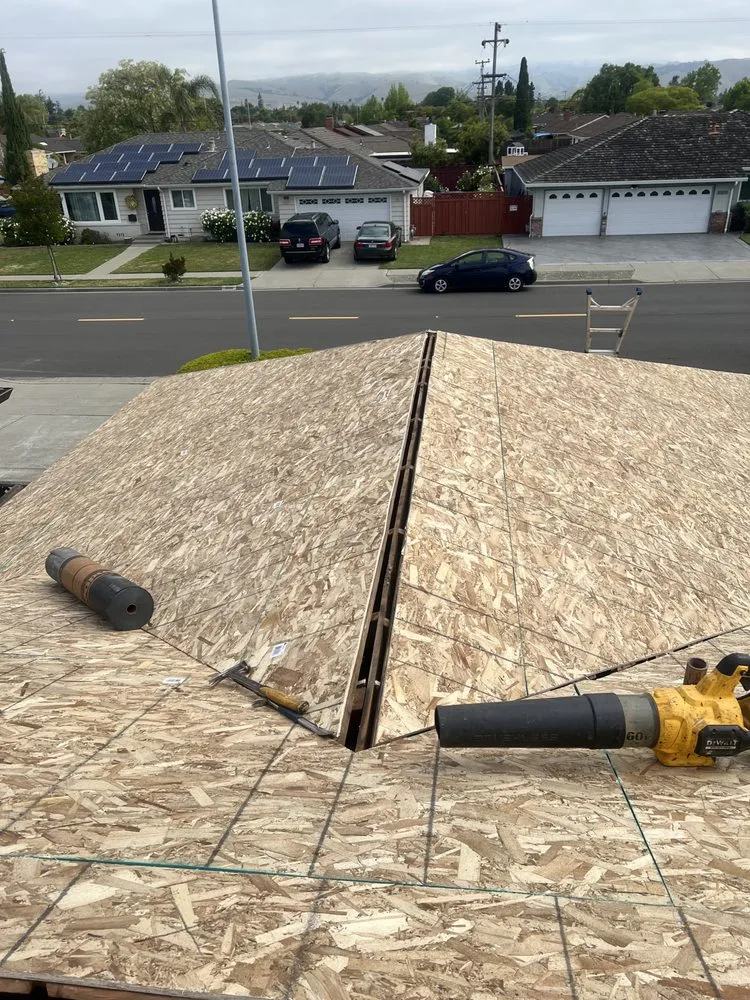 Slide of Israel Professional Roofer