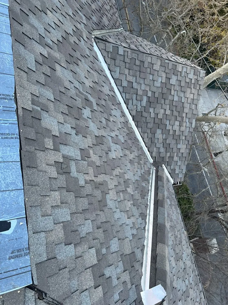 Slide of Israel Professional Roofer