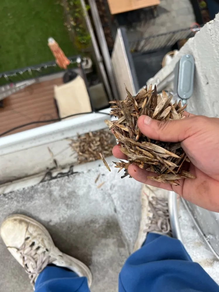 Slide of Israel Residential Construction