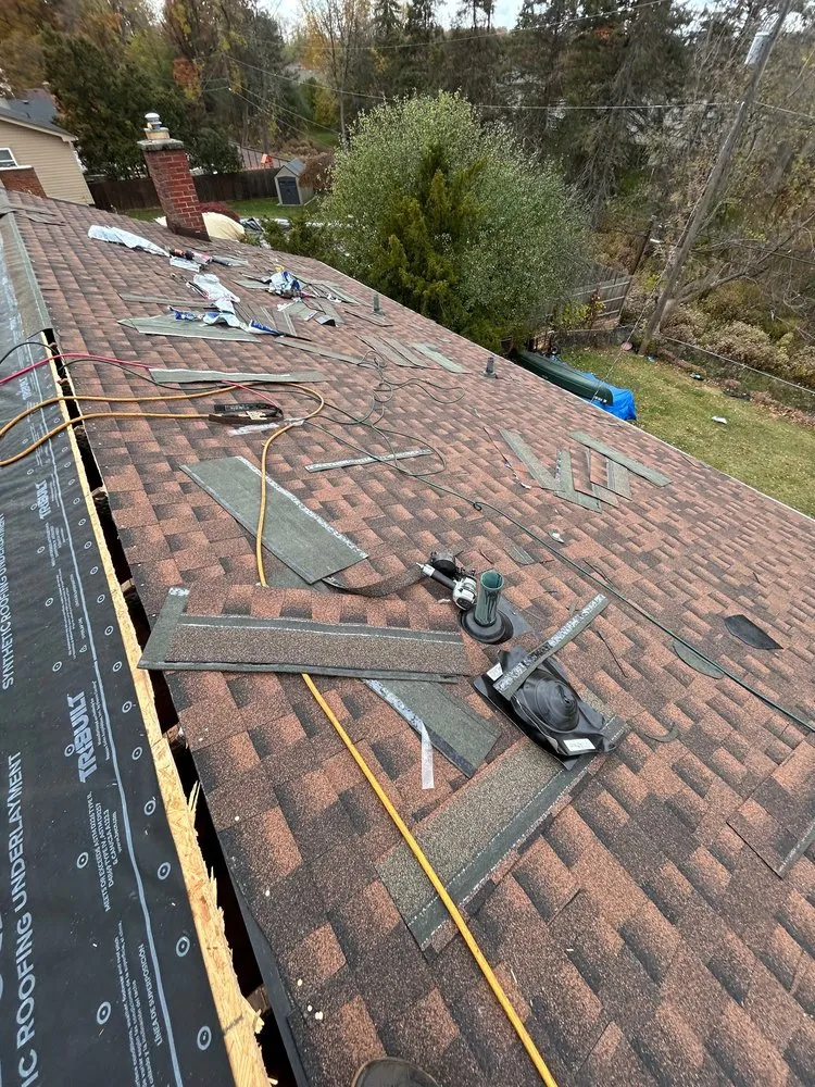 Slide of iSwitch Roofs