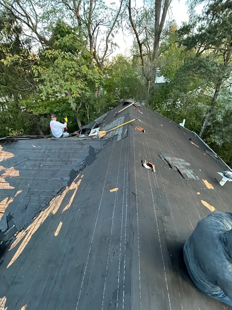 Slide of iSwitch Roofs