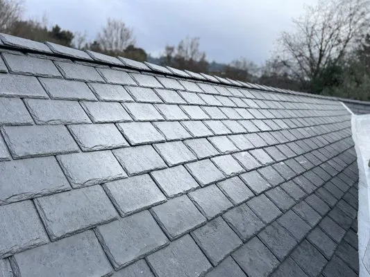 Izzy Roofing & Waterproofing Logo