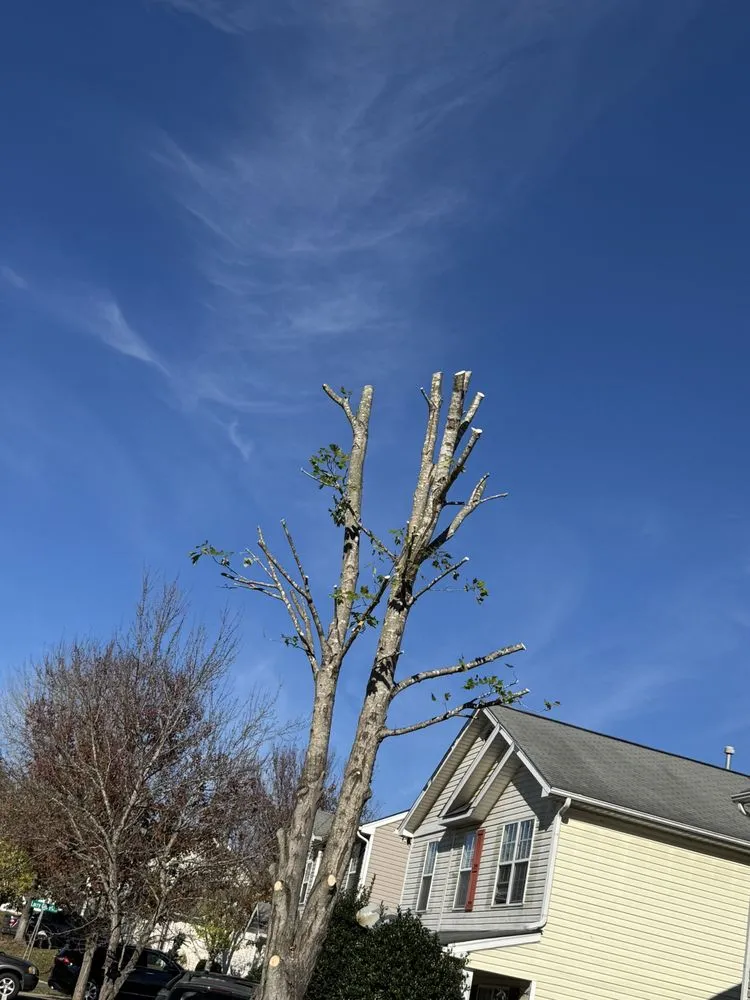 Slide of J & G Landscaping & Tree Service