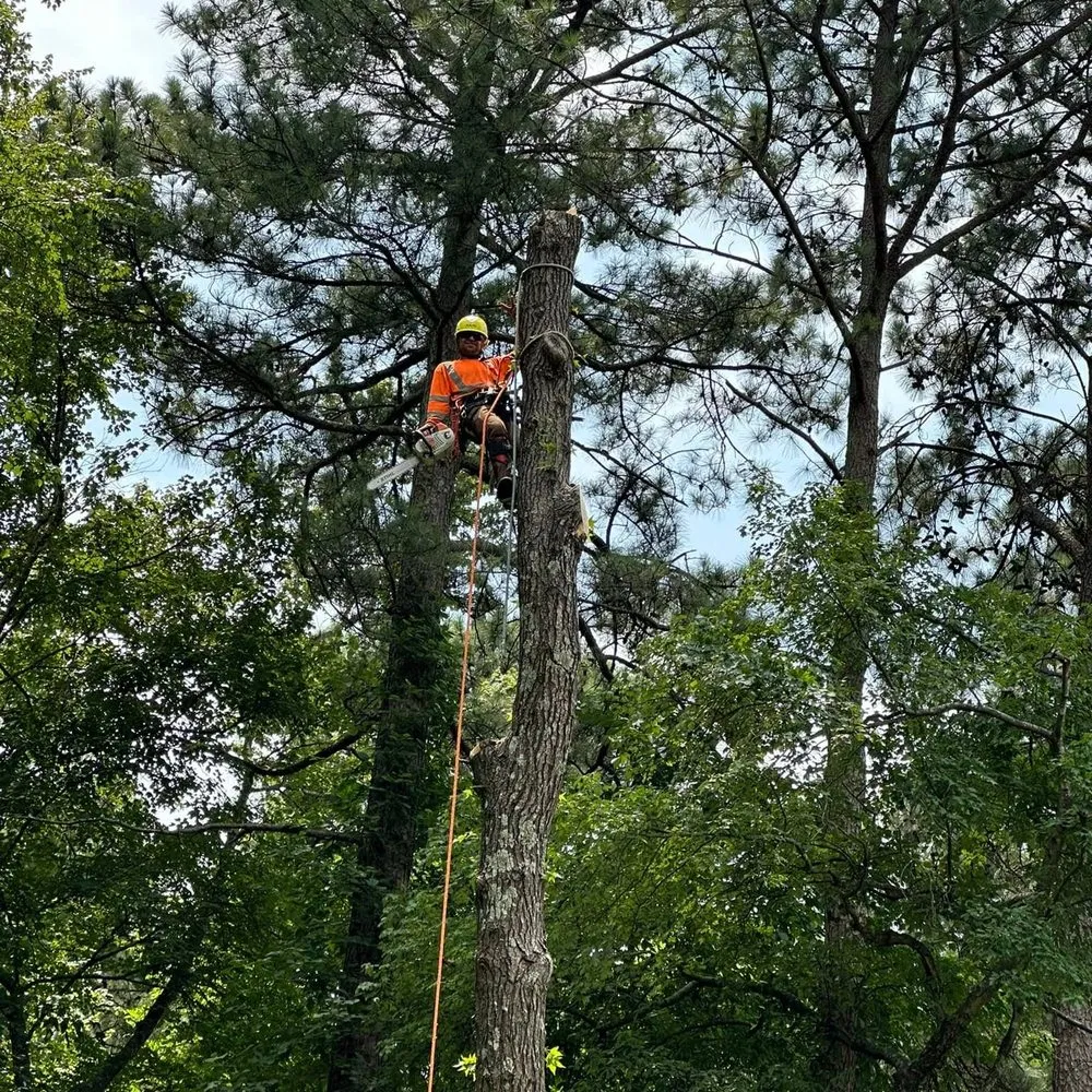 Slide of J & G Landscaping & Tree Service