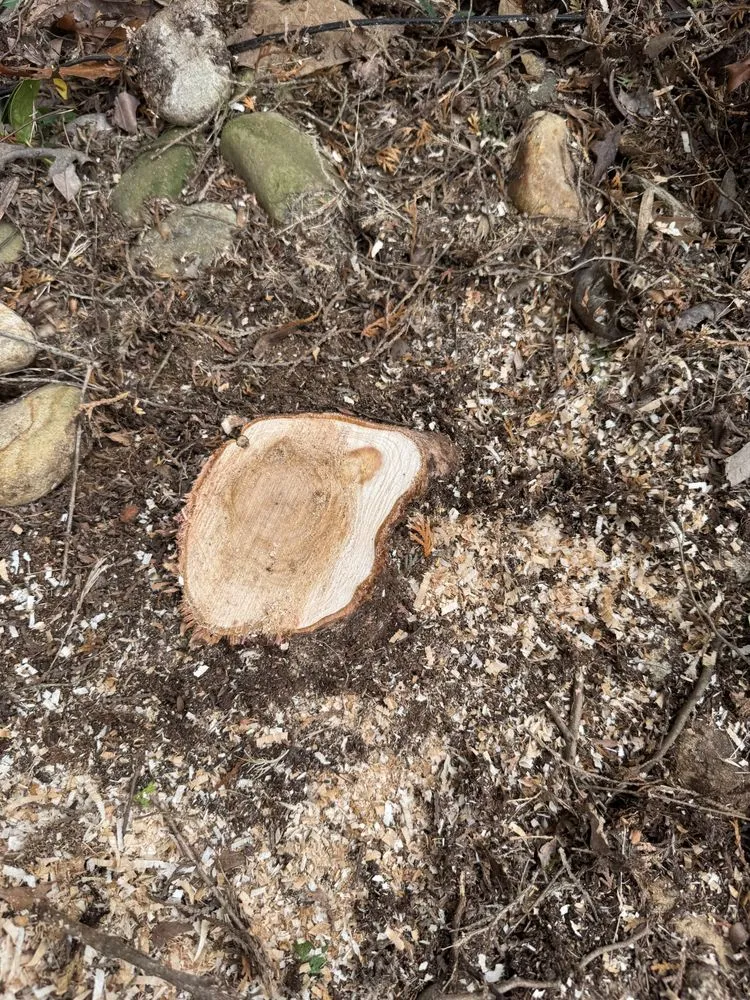 Slide of J & G Landscaping & Tree Service