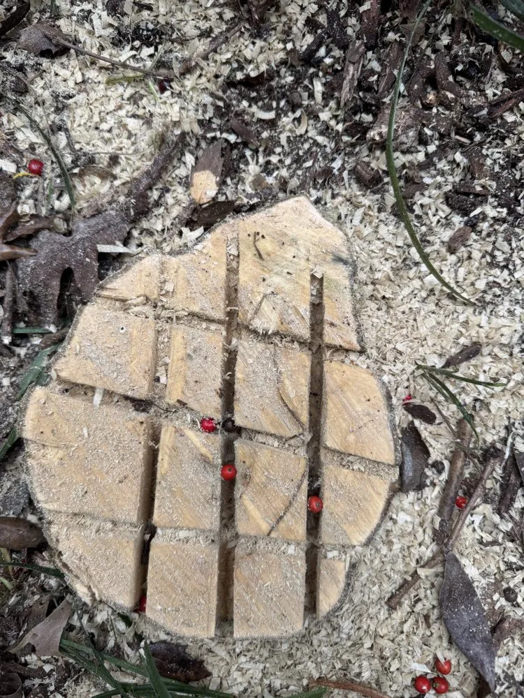 Slide of J & G Landscaping & Tree Service