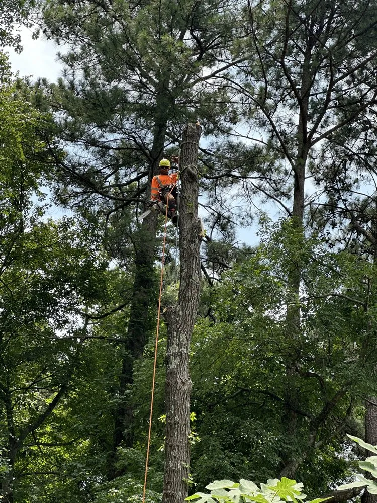 Slide of J & G Landscaping & Tree Service