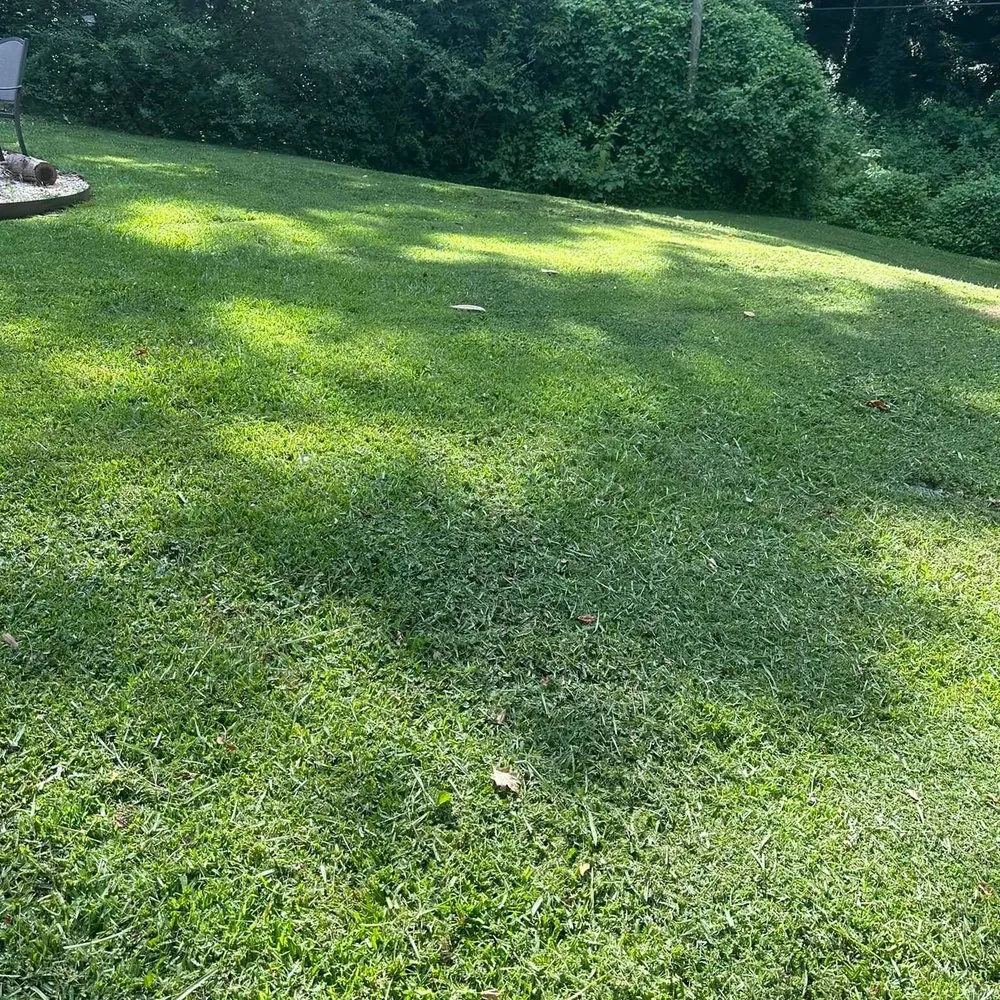 Slide of J & G Landscaping & Tree Service