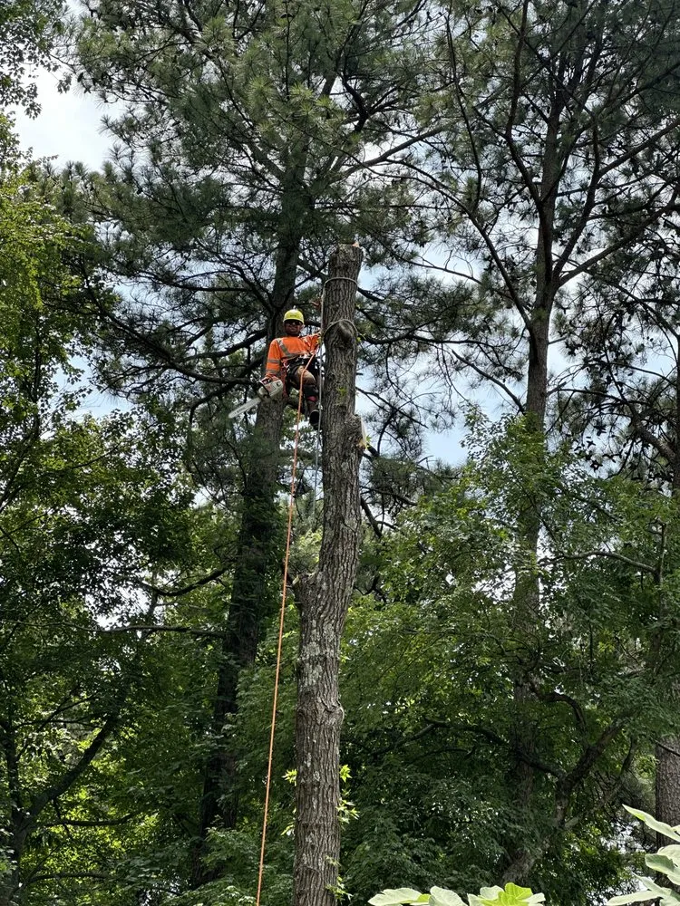 Slide of J & G Landscaping & Tree Service