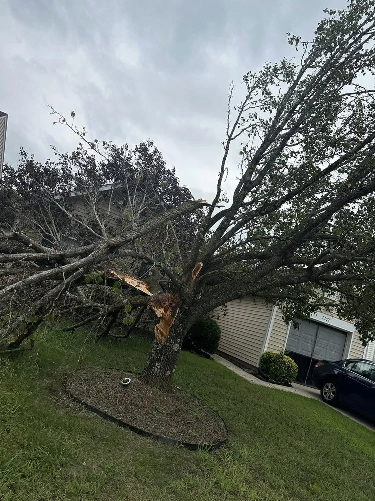 Slide of J & G Landscaping & Tree Service