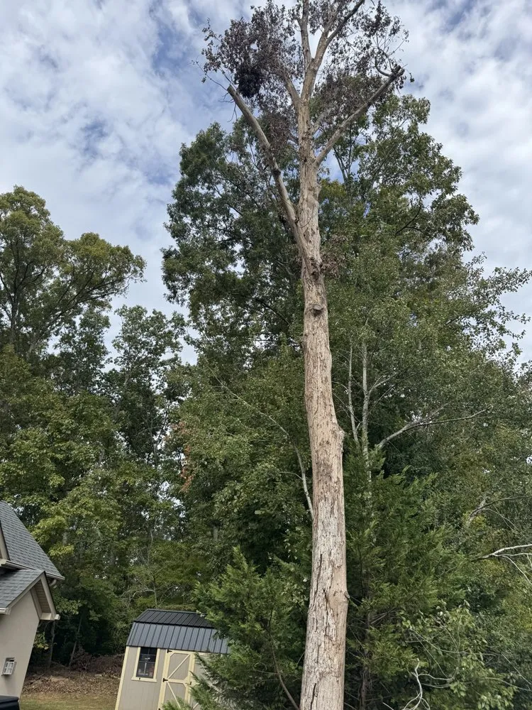 Slide of J & G Landscaping & Tree Service