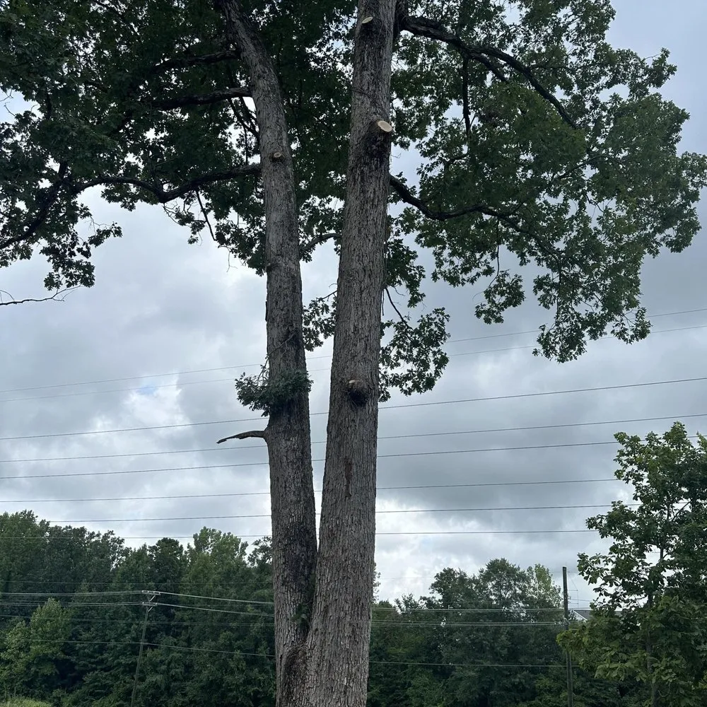 Slide of J & G Landscaping & Tree Service