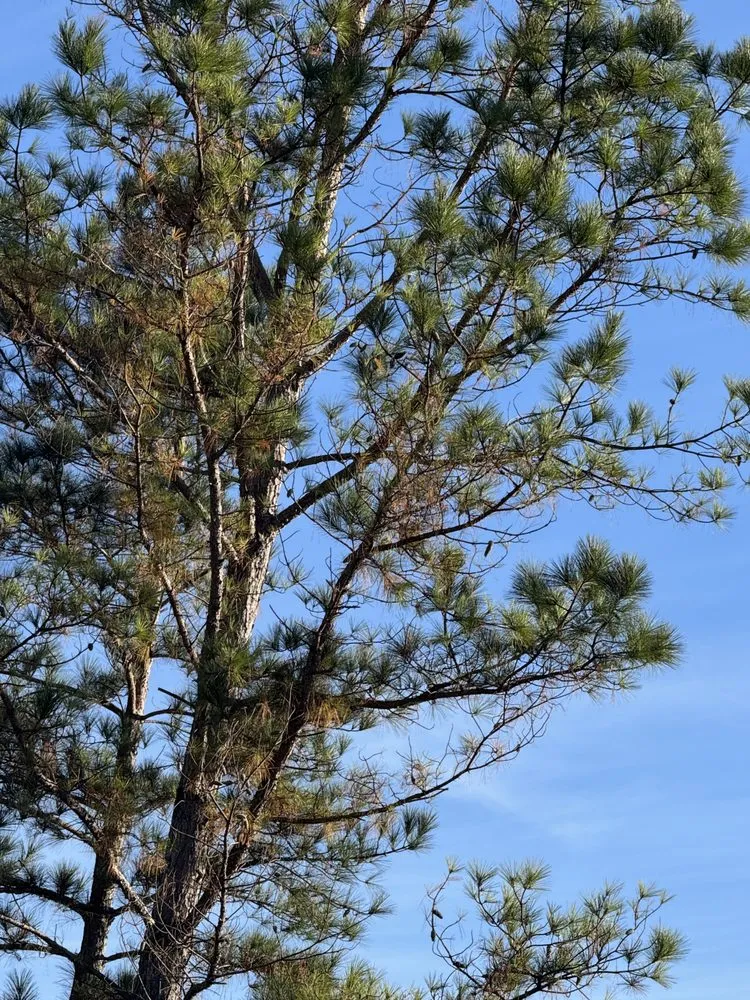 Slide of J & G Landscaping & Tree Service