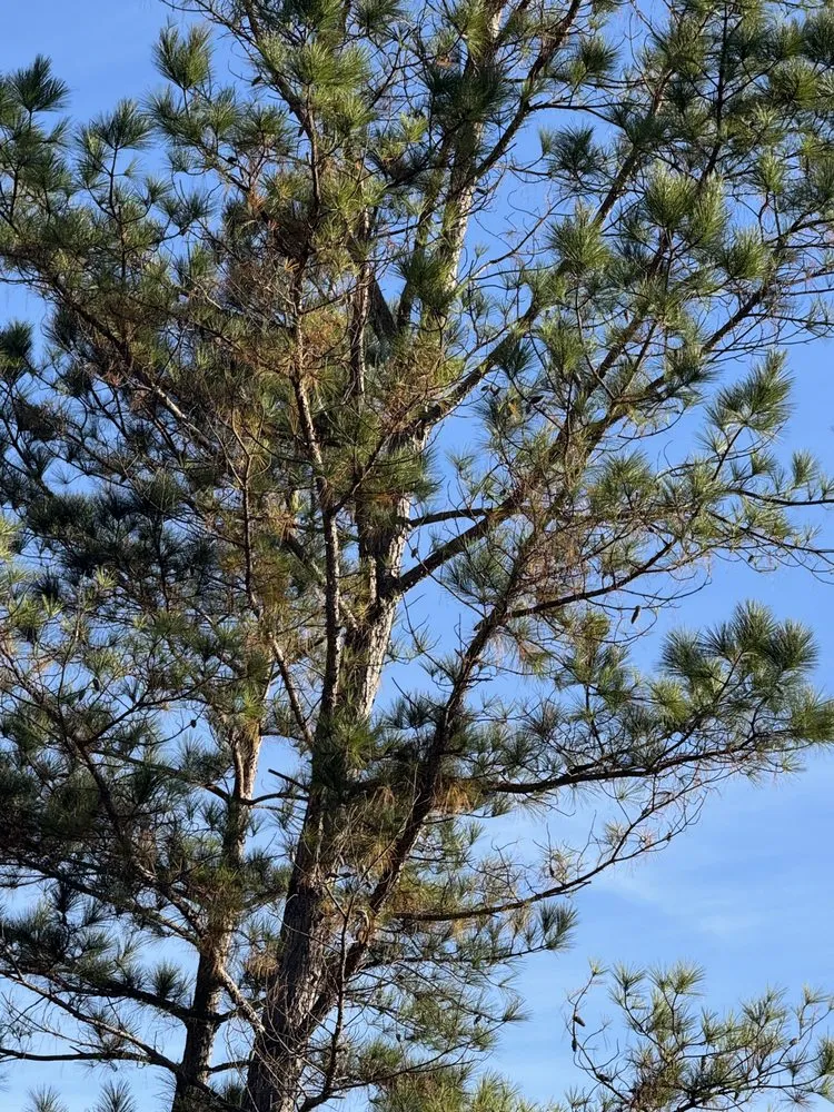 Slide of J & G Landscaping & Tree Service