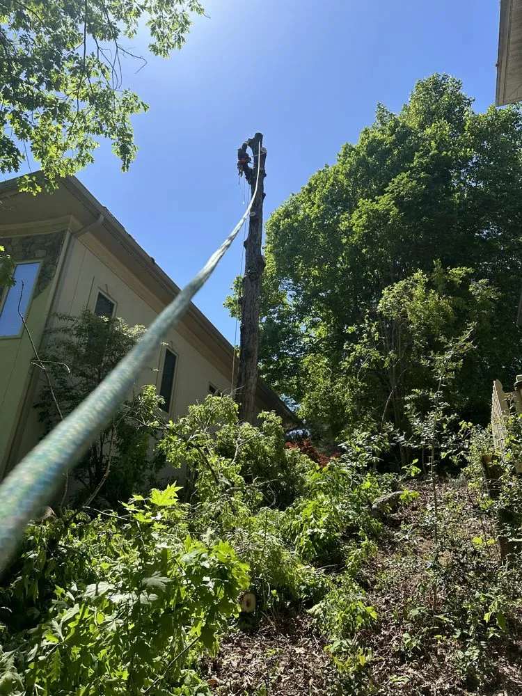 Slide of J & G Landscaping & Tree Service