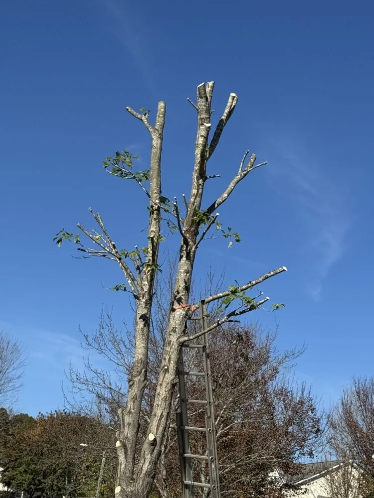 Slide of J & G Landscaping & Tree Service