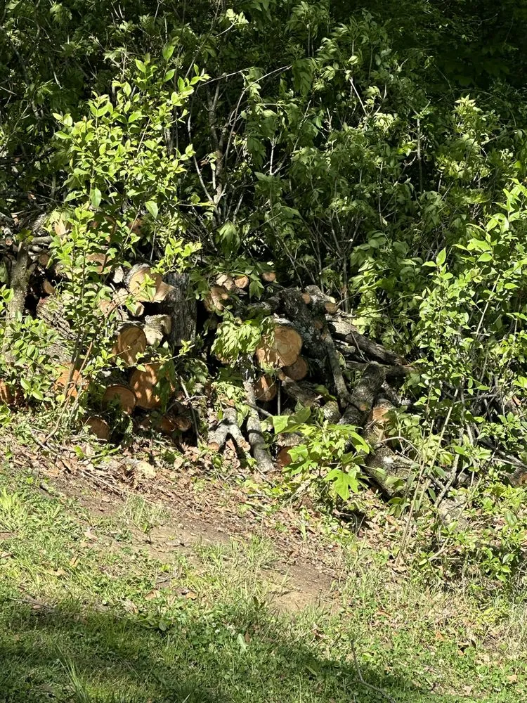 Slide of J & G Landscaping & Tree Service