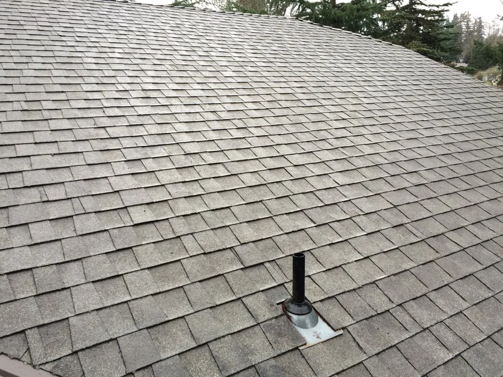 Slide of J & J Roof Cleaning Services