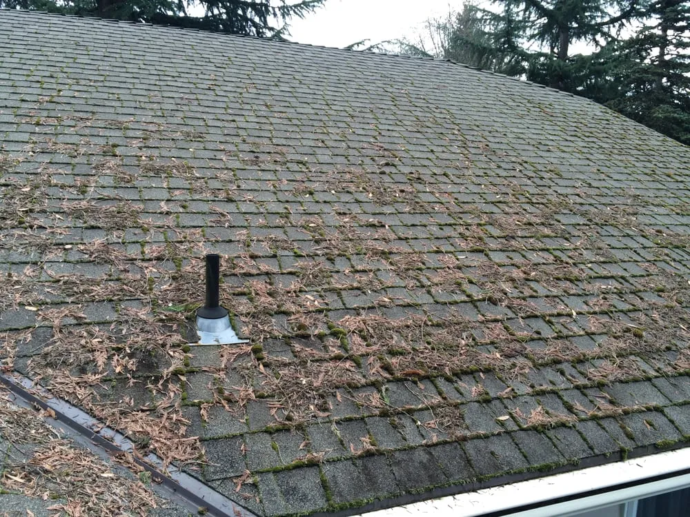 Slide of J & J Roof Cleaning Services