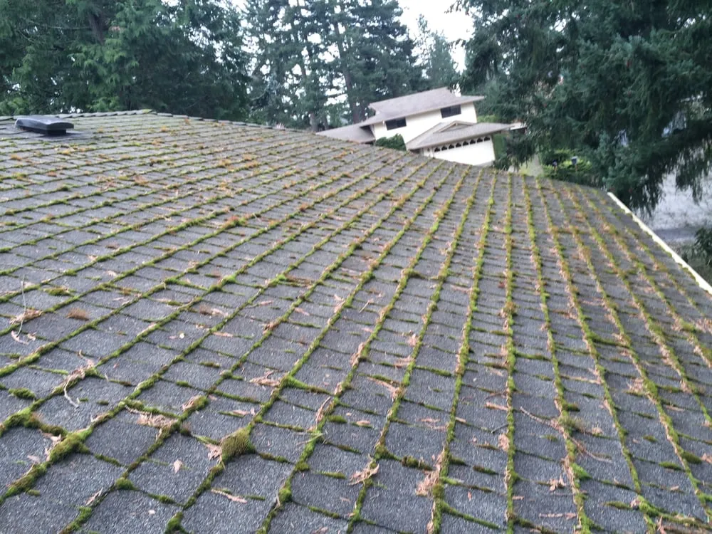 Slide of J & J Roof Cleaning Services