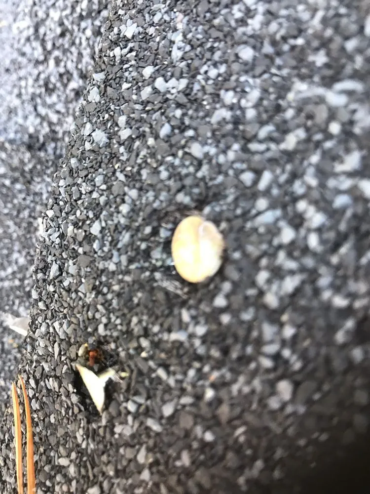 Slide of J & M Roofing