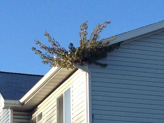 J & N Roofing Maintenance