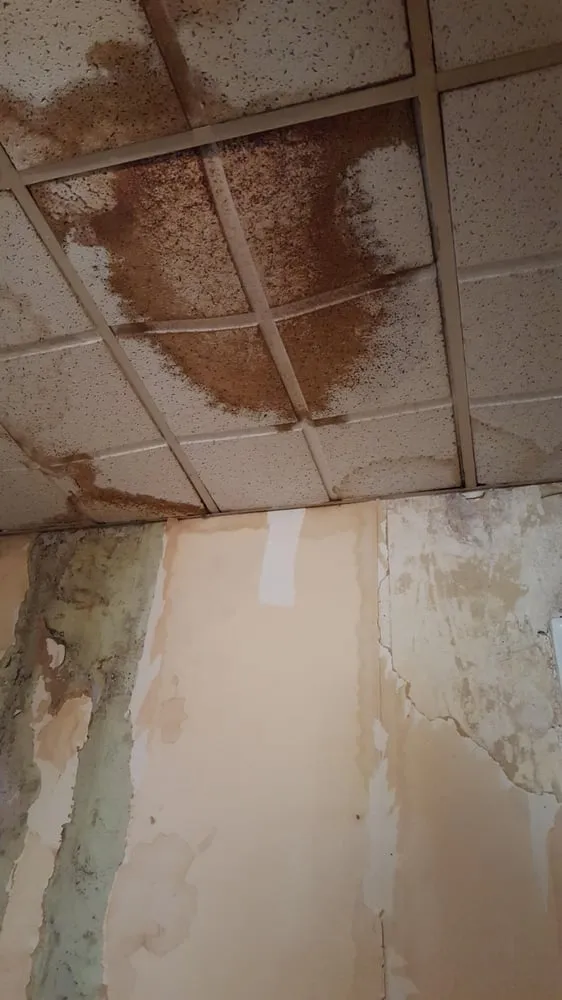 Slide of J & P Restoration