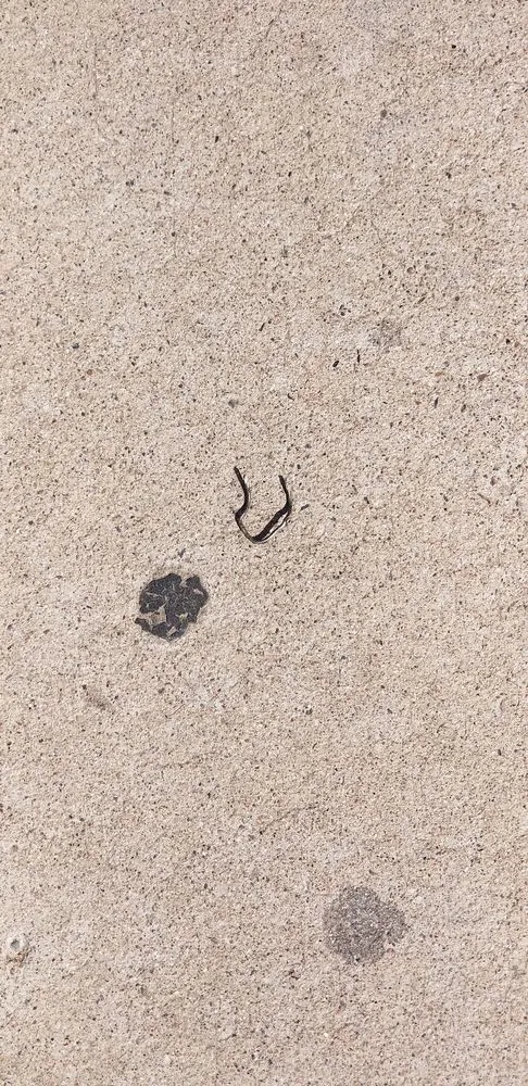 Slide of J & S Renovations