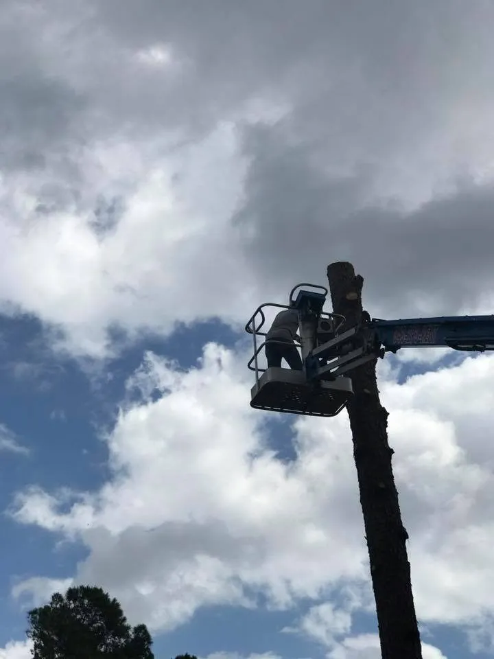 Slide of J & W Tree Service, Landscaping and Roofing