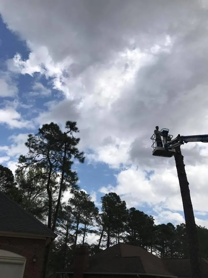 Slide of J & W Tree Service, Landscaping and Roofing