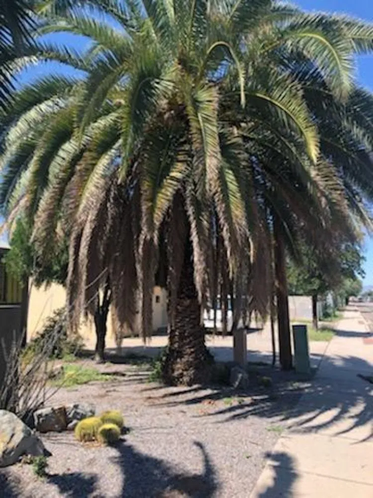 Slide of J 2 Day Residential Services