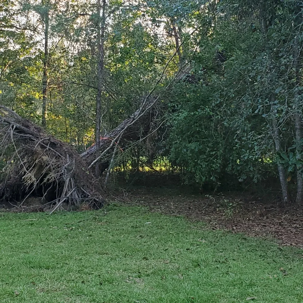 Slide of J and T Construction & Tree Removal