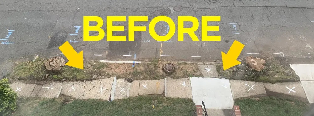 Slide of J. Campoli & Sons, Inc.