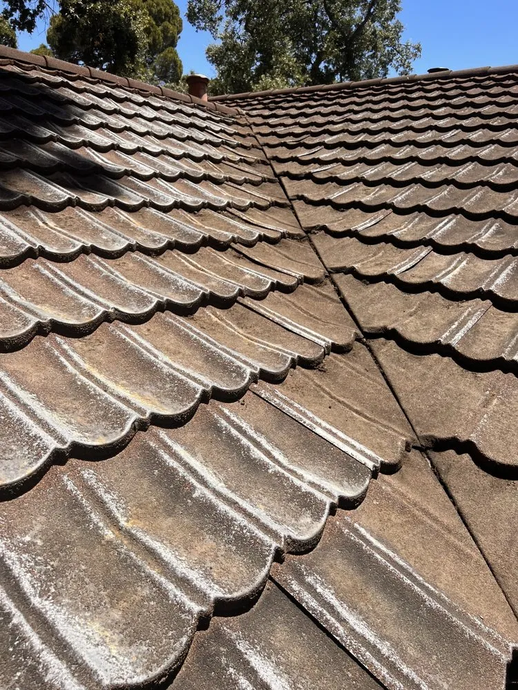 Slide of J Flores Service