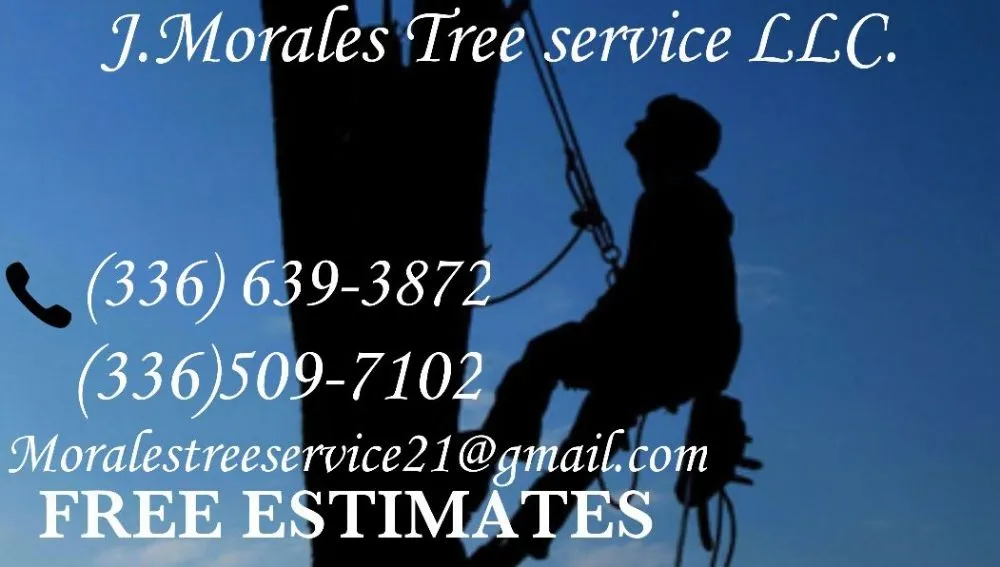 Professional storm damage roof repair with free inspection across Snow Camp, NC - J Morales Tree Service
