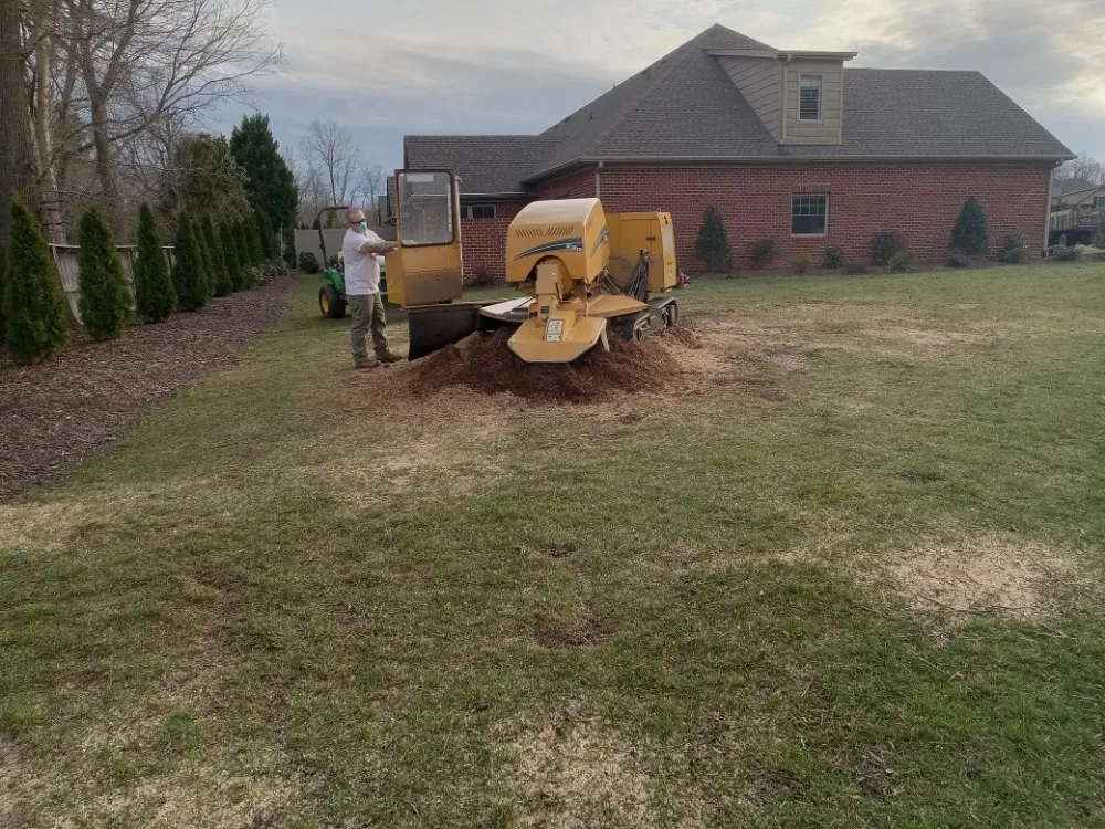 Emergency shingle roofing service in Snow Camp, NC - J Morales Tree Service
